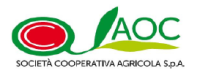 LOGO AOC